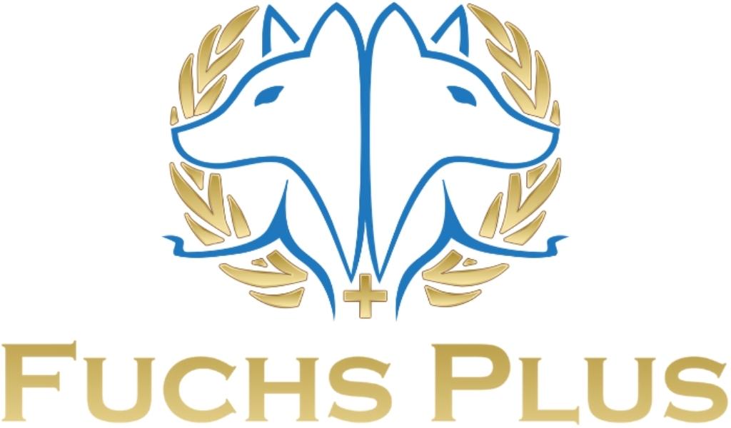 Fuchs Plus - Finanzanalytiker